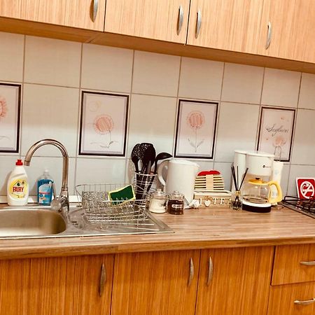 Ultracentral Apartment With All You Need: Wifi, Tv, Ac, Washer, Coffe ティミショアラ エクステリア 写真