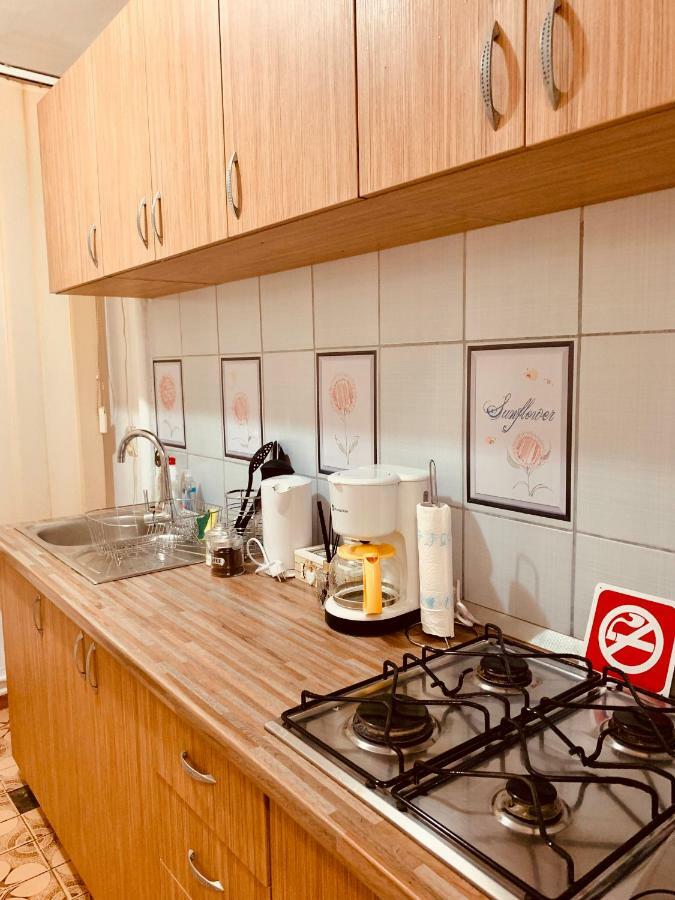 Ultracentral Apartment With All You Need: Wifi, Tv, Ac, Washer, Coffe ティミショアラ エクステリア 写真