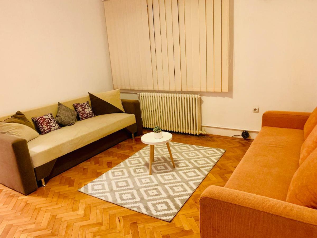 Ultracentral Apartment With All You Need: Wifi, Tv, Ac, Washer, Coffe ティミショアラ エクステリア 写真