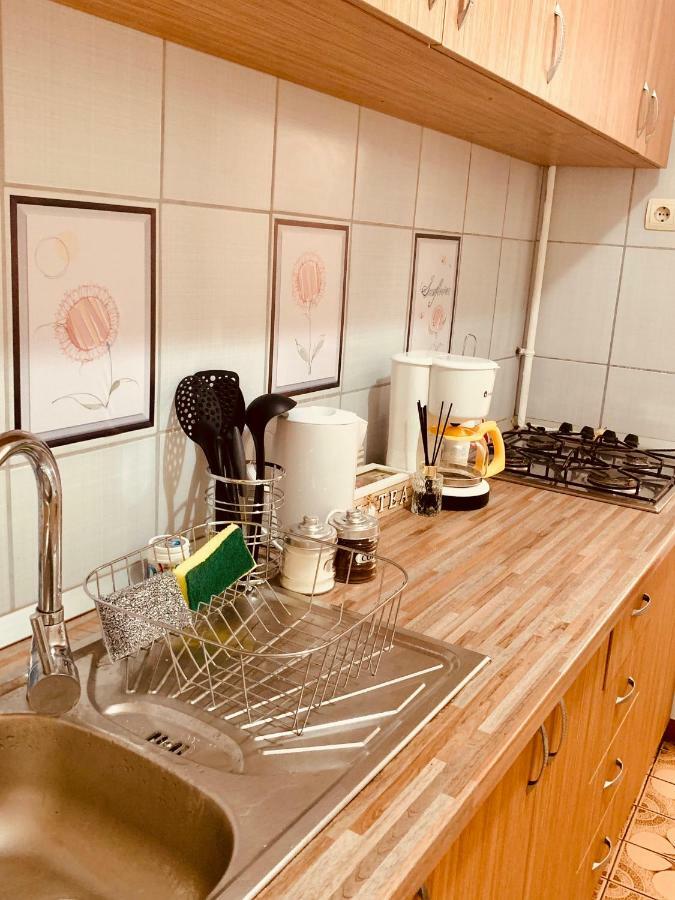 Ultracentral Apartment With All You Need: Wifi, Tv, Ac, Washer, Coffe ティミショアラ エクステリア 写真