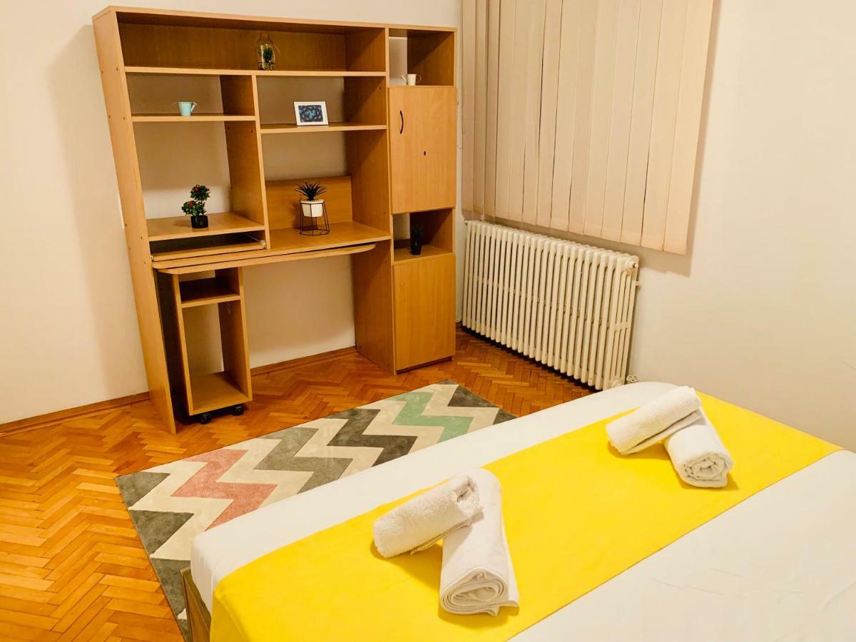 Ultracentral Apartment With All You Need: Wifi, Tv, Ac, Washer, Coffe ティミショアラ エクステリア 写真