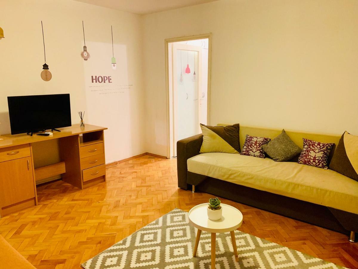 Ultracentral Apartment With All You Need: Wifi, Tv, Ac, Washer, Coffe ティミショアラ エクステリア 写真