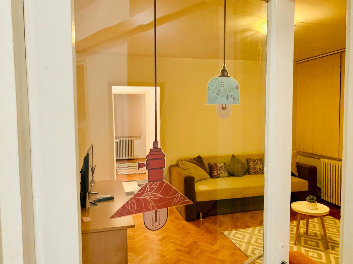 Ultracentral Apartment With All You Need: Wifi, Tv, Ac, Washer, Coffe ティミショアラ エクステリア 写真