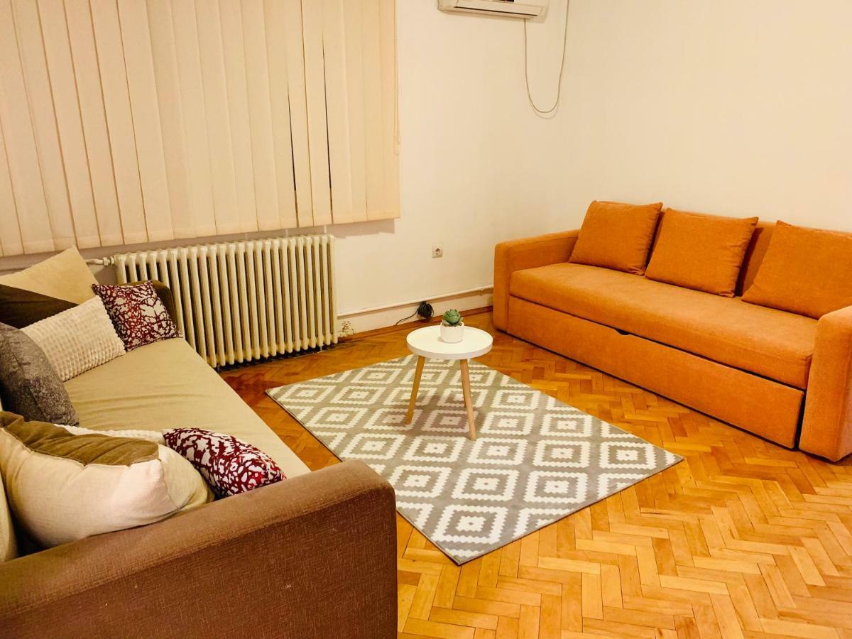 Ultracentral Apartment With All You Need: Wifi, Tv, Ac, Washer, Coffe ティミショアラ エクステリア 写真