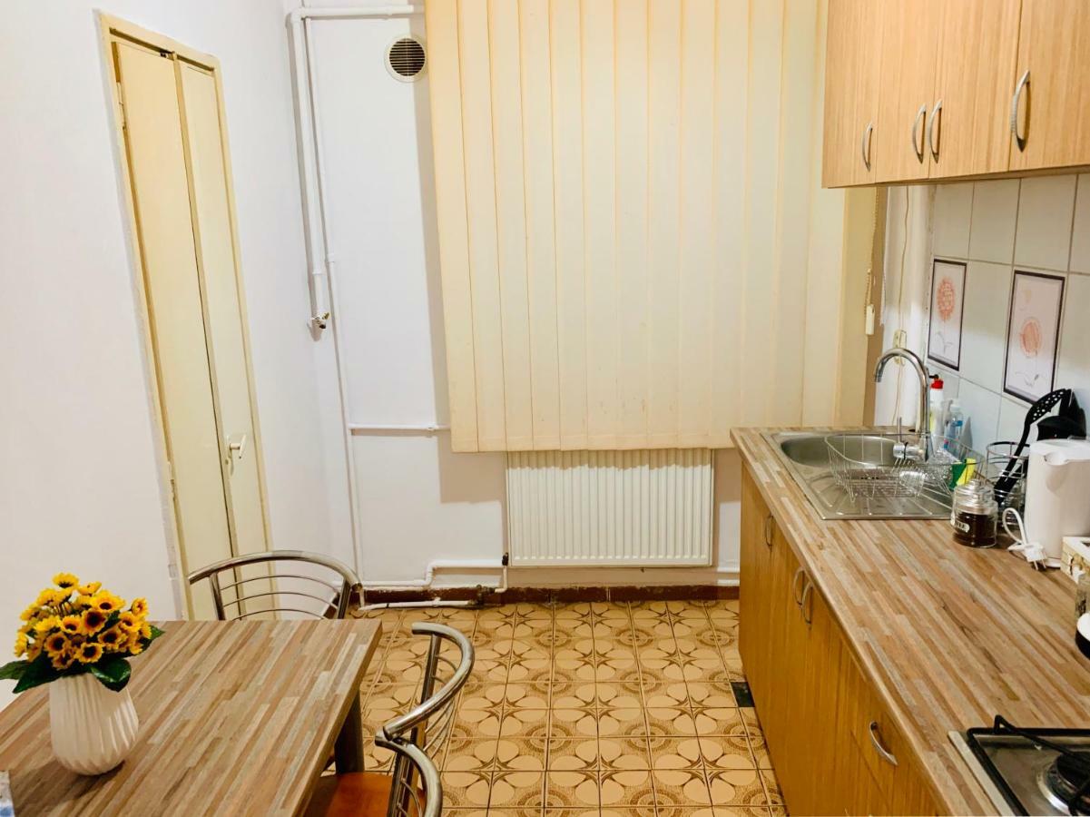 Ultracentral Apartment With All You Need: Wifi, Tv, Ac, Washer, Coffe ティミショアラ エクステリア 写真