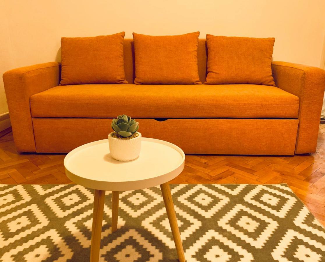 Ultracentral Apartment With All You Need: Wifi, Tv, Ac, Washer, Coffe ティミショアラ エクステリア 写真