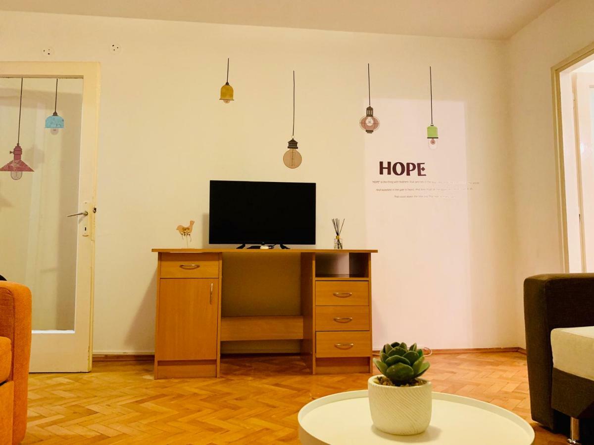 Ultracentral Apartment With All You Need: Wifi, Tv, Ac, Washer, Coffe ティミショアラ エクステリア 写真