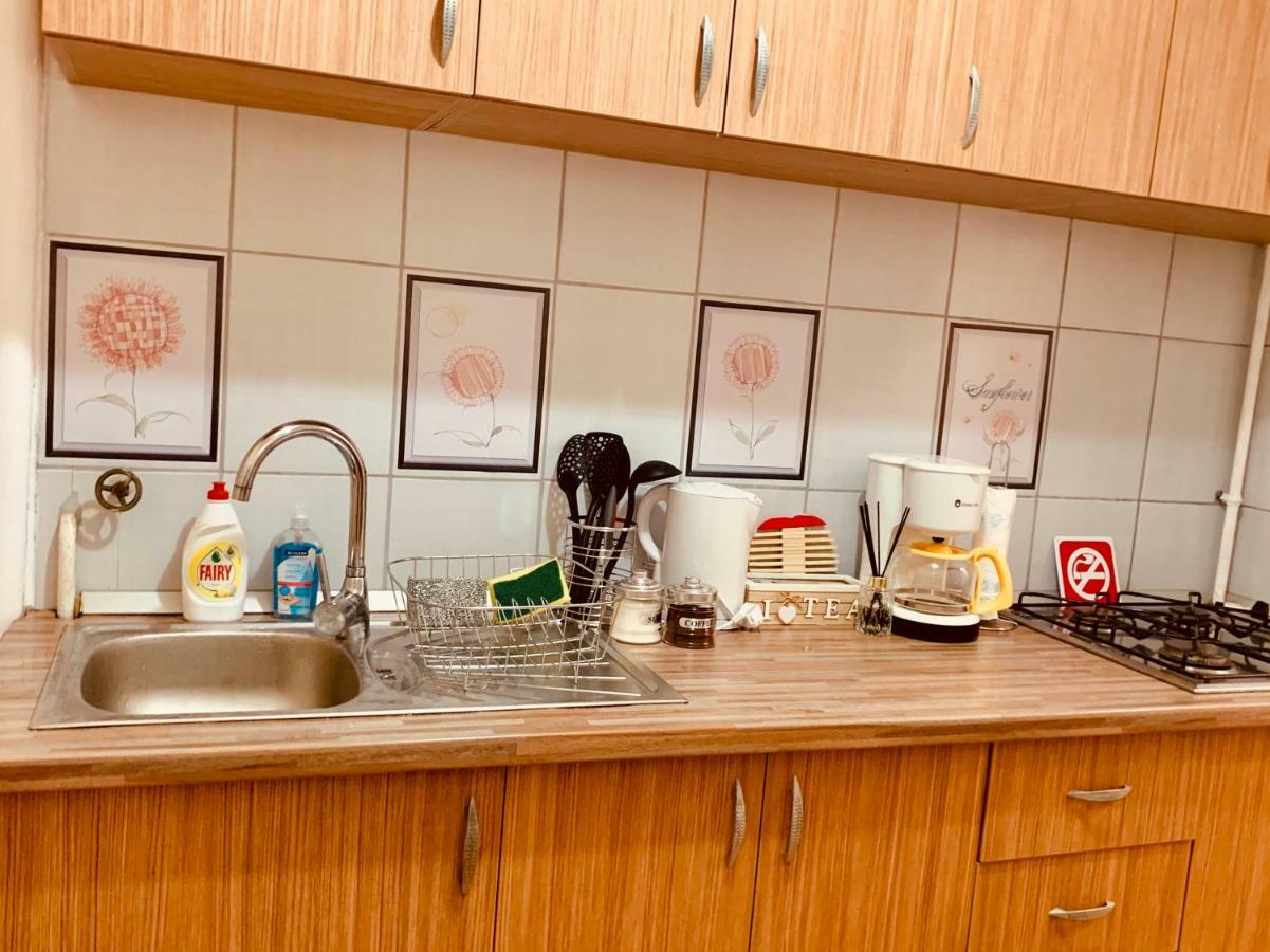 Ultracentral Apartment With All You Need: Wifi, Tv, Ac, Washer, Coffe ティミショアラ エクステリア 写真