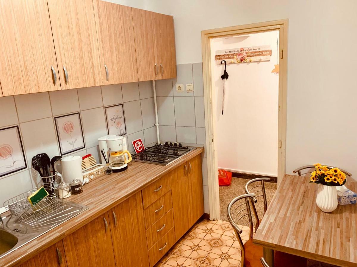 Ultracentral Apartment With All You Need: Wifi, Tv, Ac, Washer, Coffe ティミショアラ エクステリア 写真